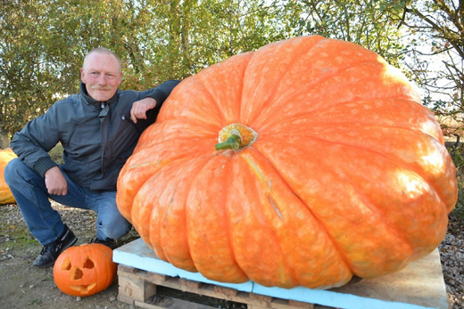 Pumpkin grown 